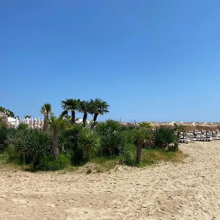 Sun Palace 3 Daire